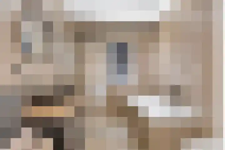 Sint-Annaziekenhuislaan 2 Oss thumbnail 16