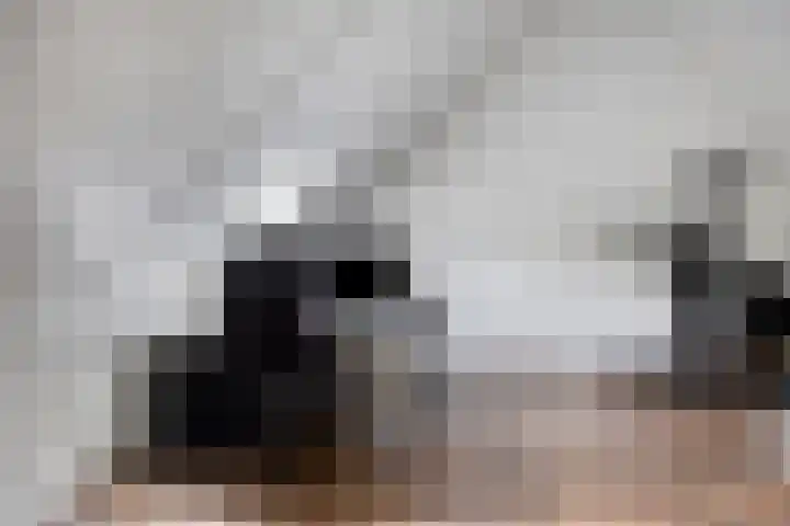 Sint-Annaziekenhuislaan 2 Oss thumbnail 20