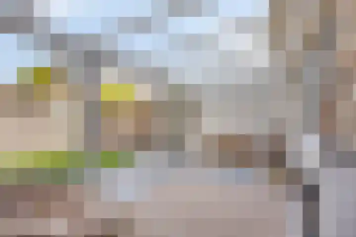 Sint-Annaziekenhuislaan 2 Oss thumbnail 22