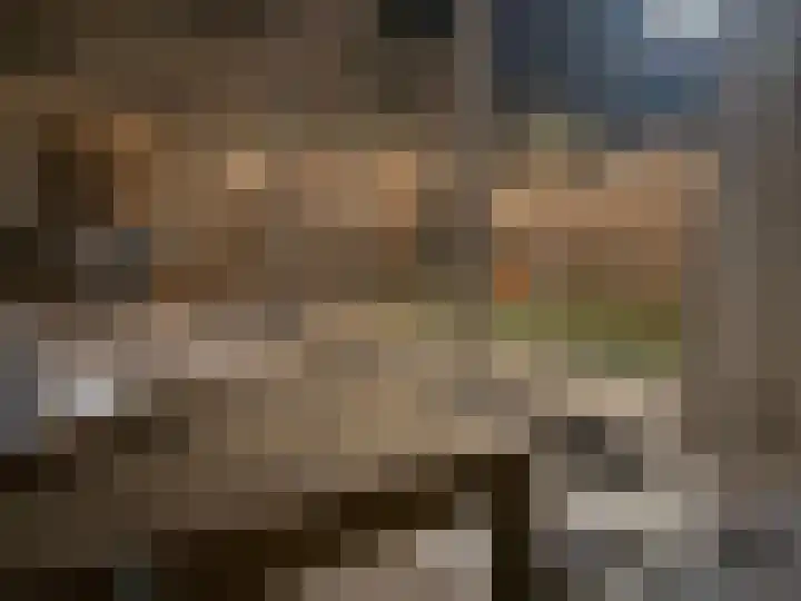Sint-Annaziekenhuislaan 2 Oss thumbnail 23