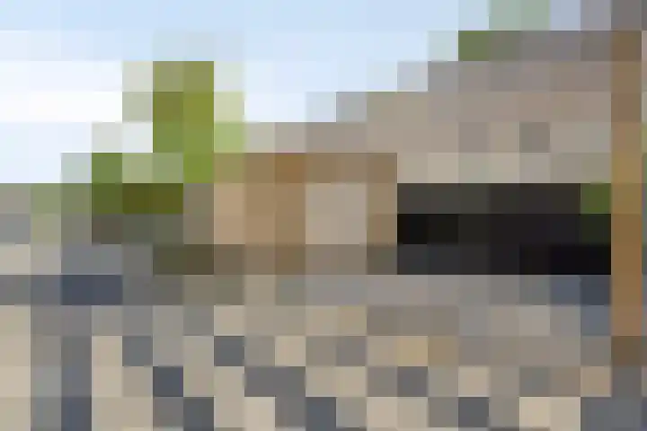 Sint-Annaziekenhuislaan 2 Oss thumbnail 28