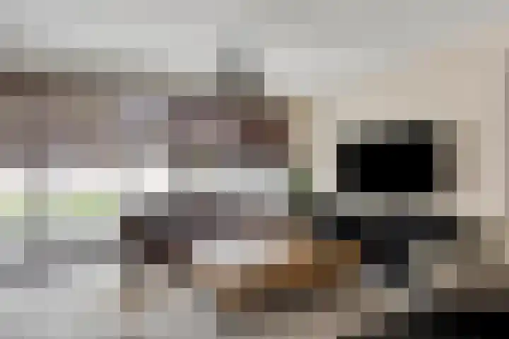 Sint-Annaziekenhuislaan 2 Oss thumbnail 8