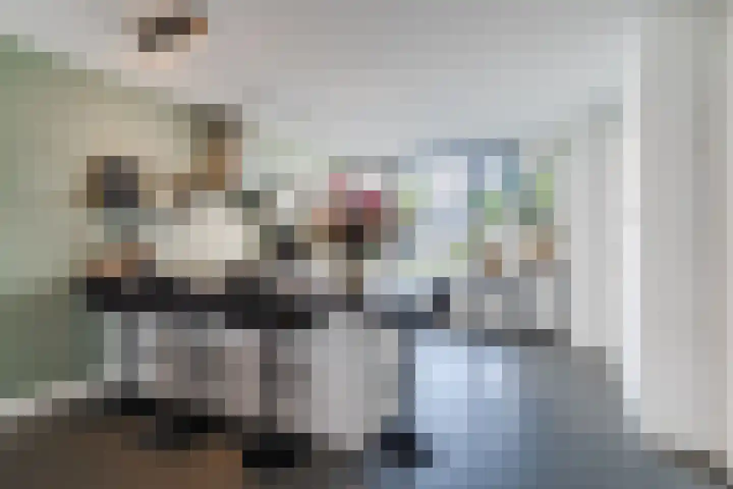 Sint-Annaziekenhuislaan 41 Oss thumbnail 14