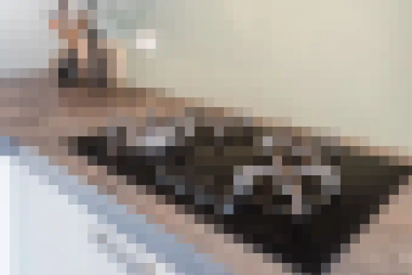 Sint-Annaziekenhuislaan 41 Oss thumbnail 18