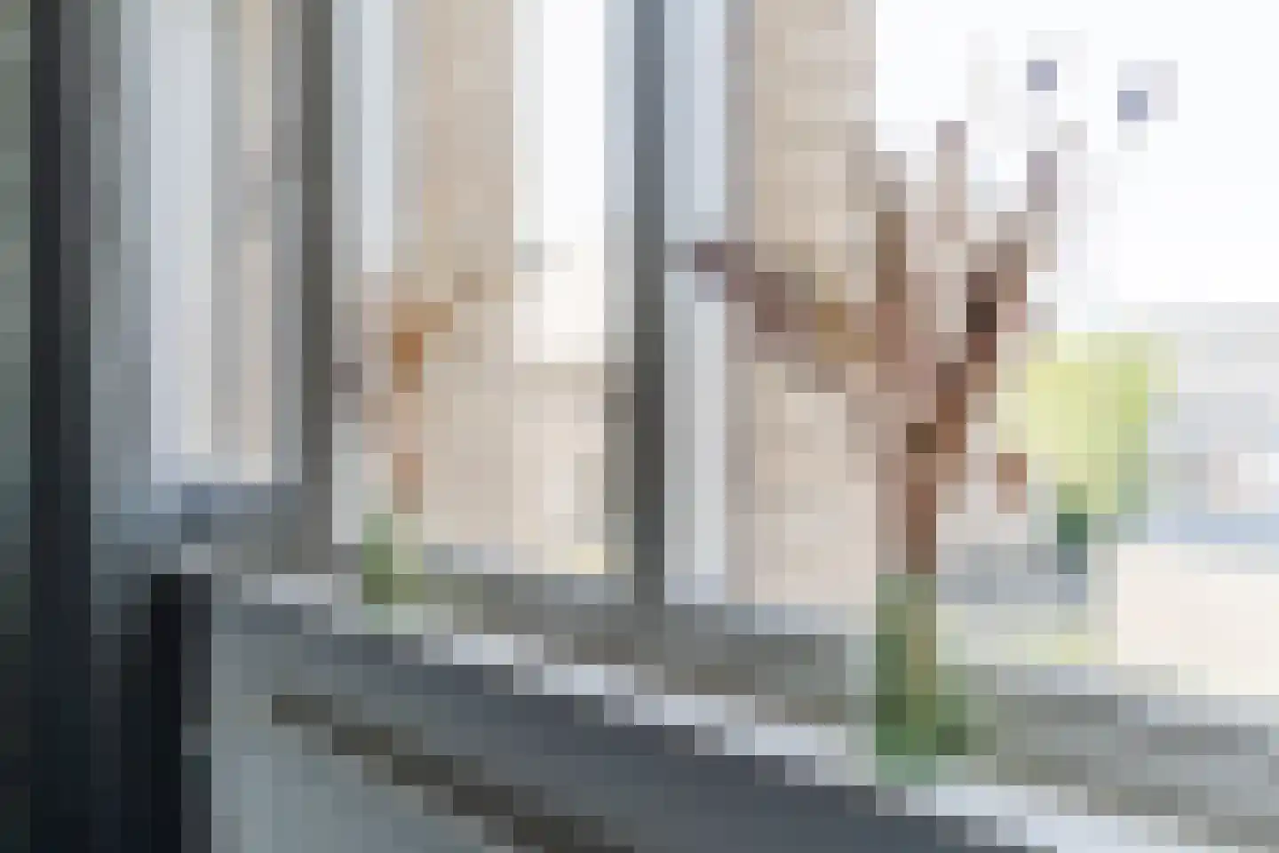 Sint-Annaziekenhuislaan 41 Oss thumbnail 25