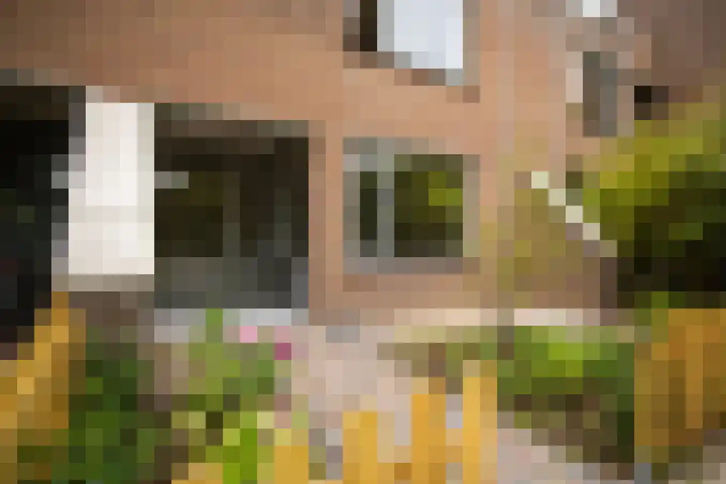 Sint Ansfridusstraat 32 D Amersfoort thumbnail 31