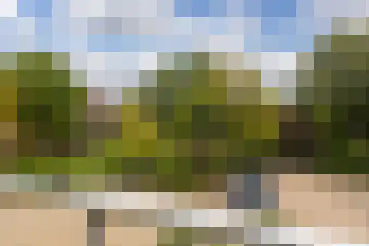 Sint Ansfridusstraat 44 C Amersfoort thumbnail 15
