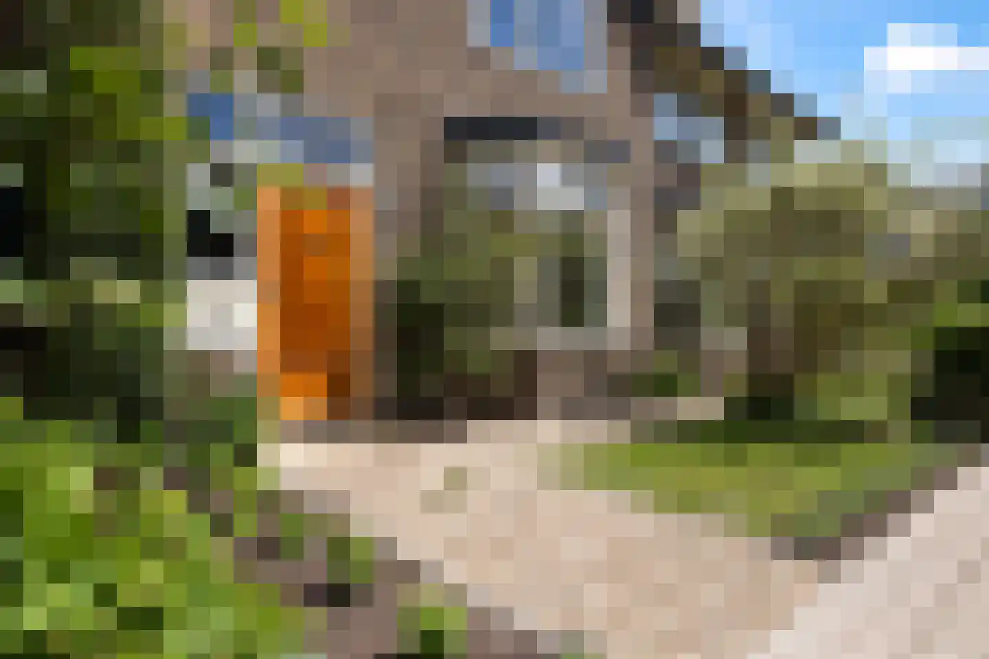 Sint Ansfridusstraat 54 Amersfoort thumbnail 75