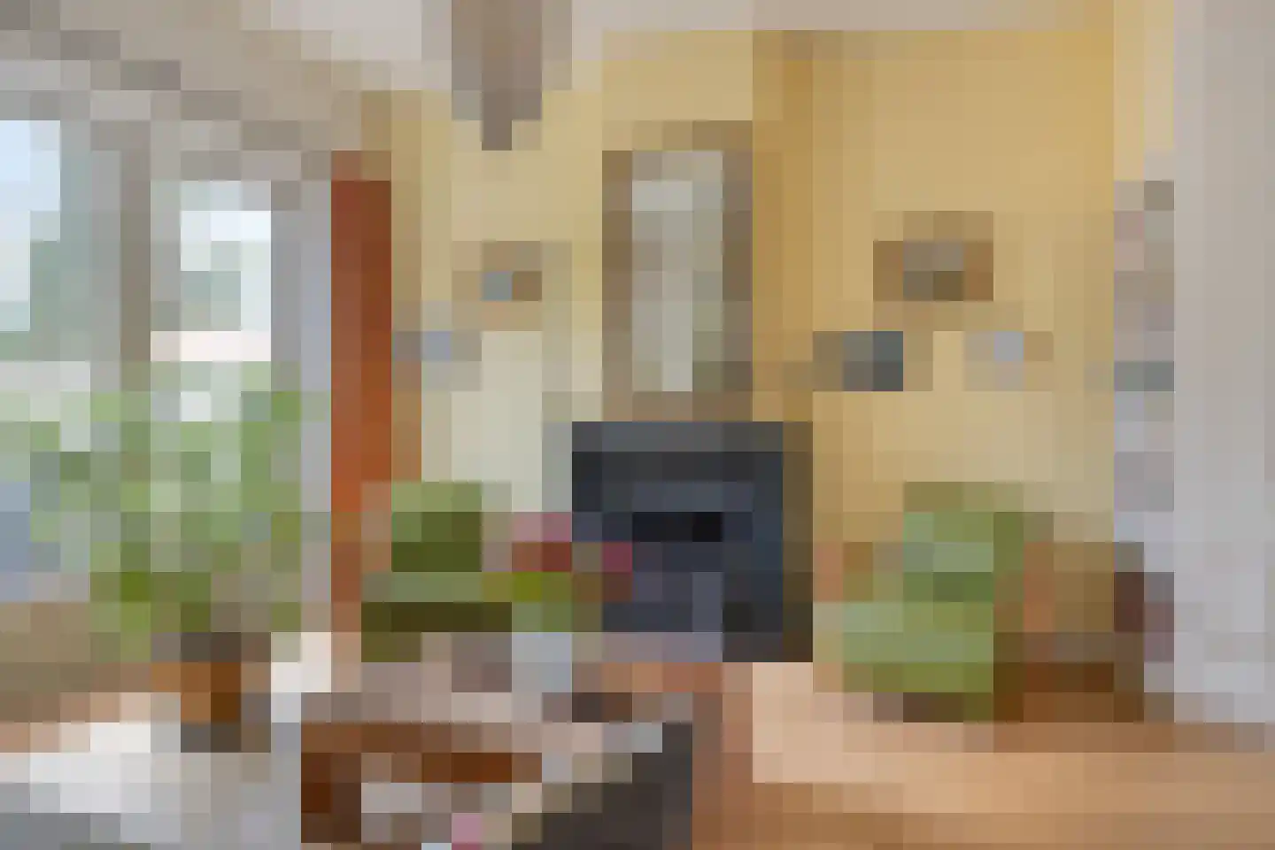 Sint Antheunisstraat 5 Middelburg thumbnail 17