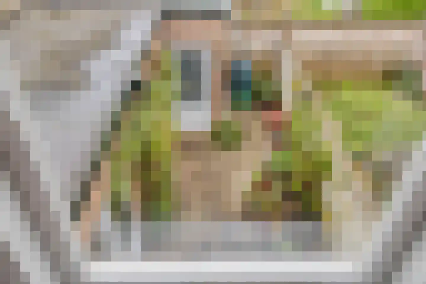Sint Antheunisstraat 5 Middelburg thumbnail 31