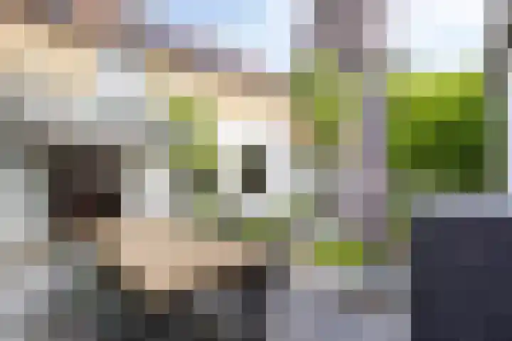 Sint Anthoniesdam 7 Zierikzee thumbnail 22