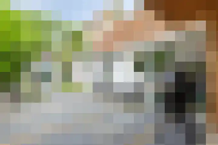 Sint Anthoniesdam 7 Zierikzee thumbnail 23
