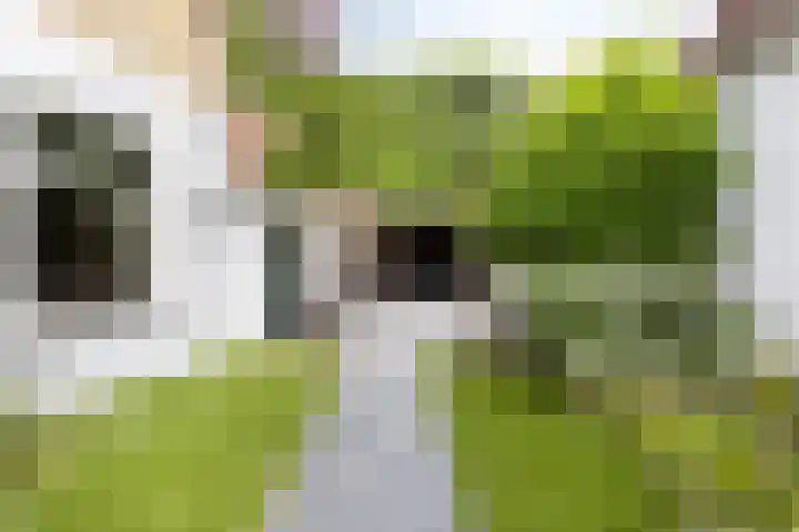 Sint Anthoniesdam 7 Zierikzee thumbnail 24