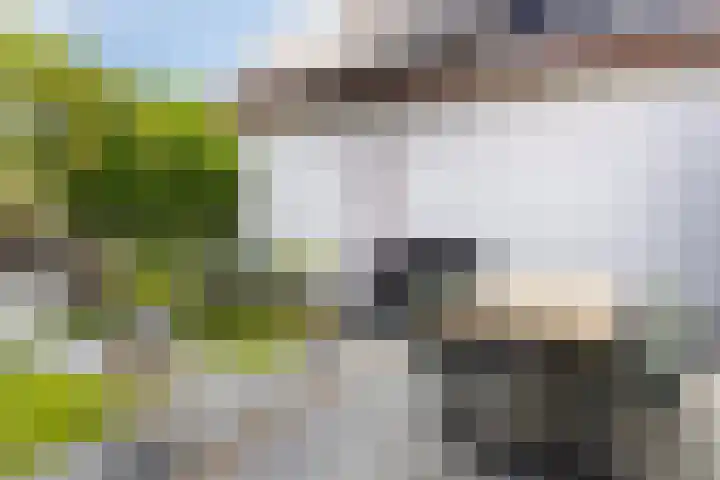 Sint Anthoniesdam 7 Zierikzee thumbnail 26