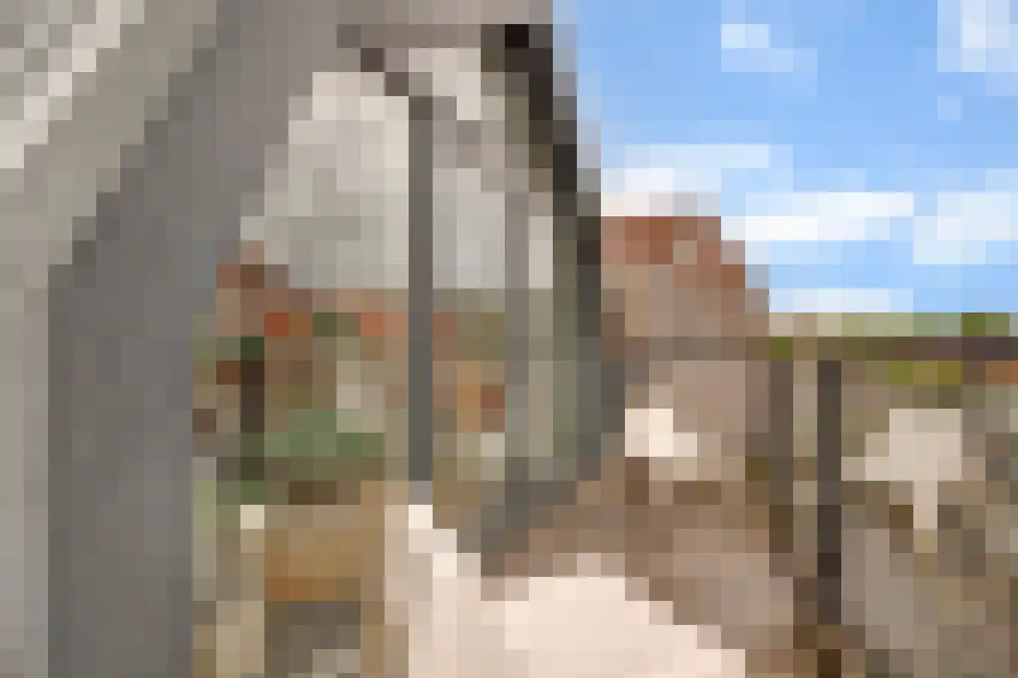 Sint Anthoniestraat 13 b Gouda thumbnail 10
