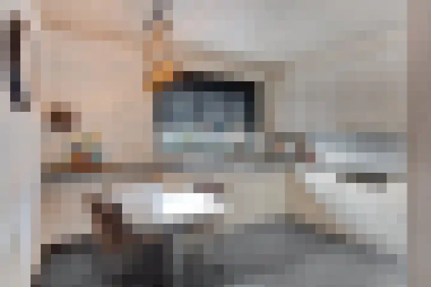 Sint Anthonisweg 27 Boxmeer thumbnail 6