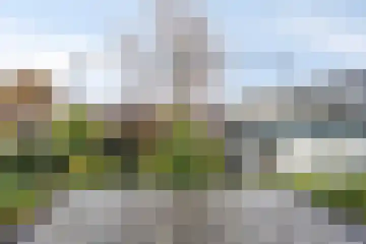 Sint Anthoniusstraat 8 Alkmaar thumbnail 16