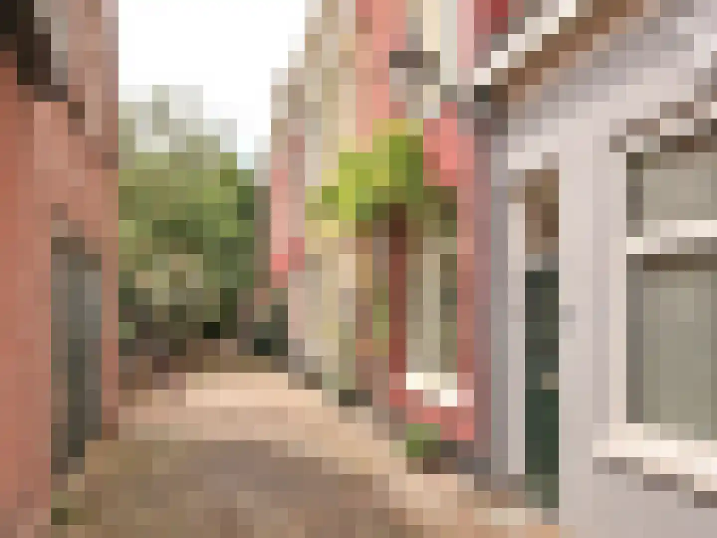 Sint-Antoniesteeg 15 A ZW Haarlem