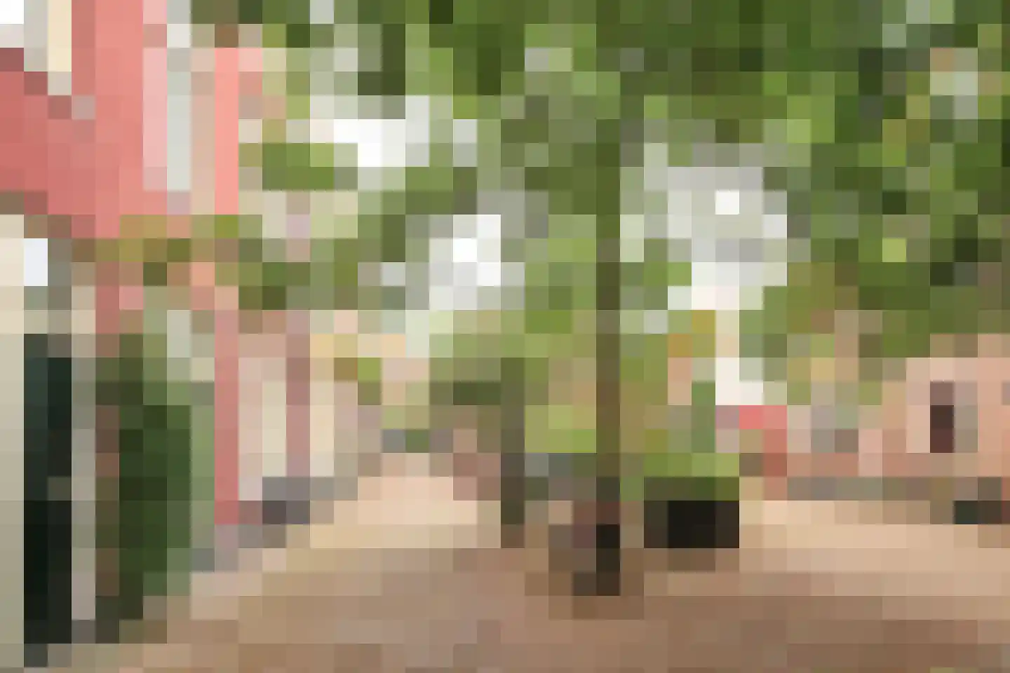 Sint-Antoniesteeg 15 A ZW Haarlem thumbnail 10