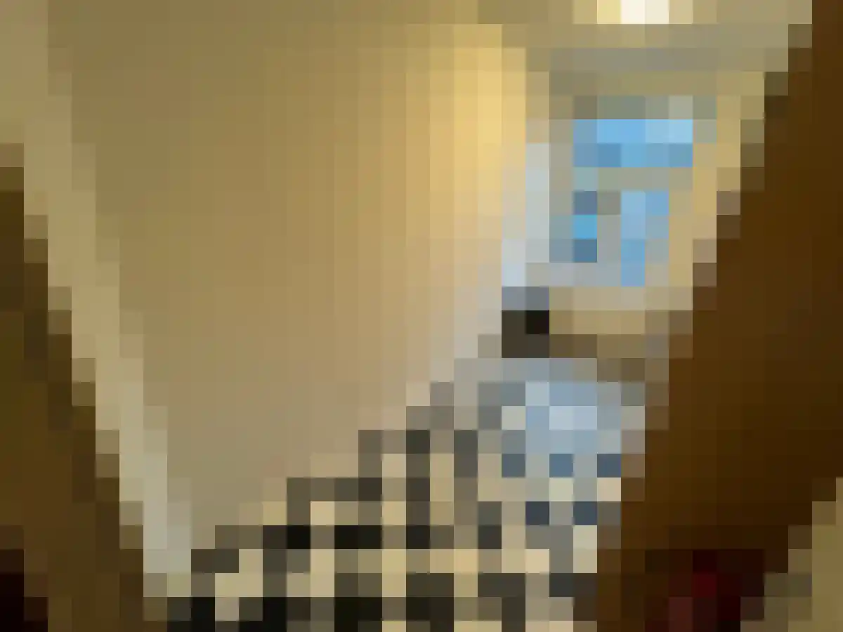 Sint Antoniuslaan 11 1 Maastricht thumbnail 6
