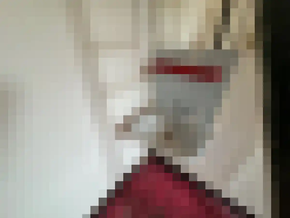 Sint Antoniuslaan 11 3 Maastricht thumbnail 6