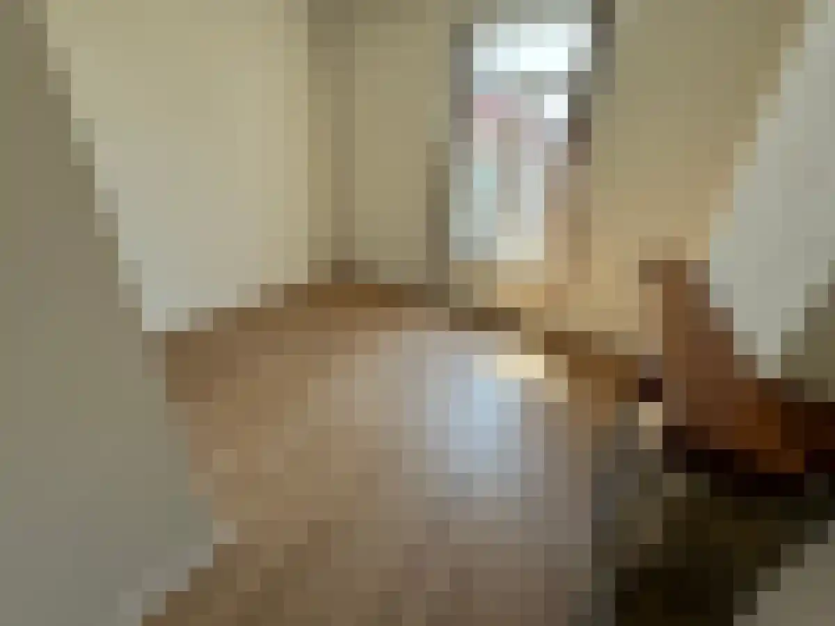 Sint Antoniuslaan 11 5 Maastricht thumbnail 5