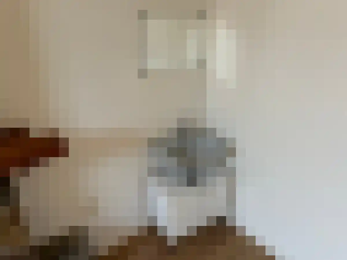 Sint Antoniuslaan 11 5 Maastricht thumbnail 6