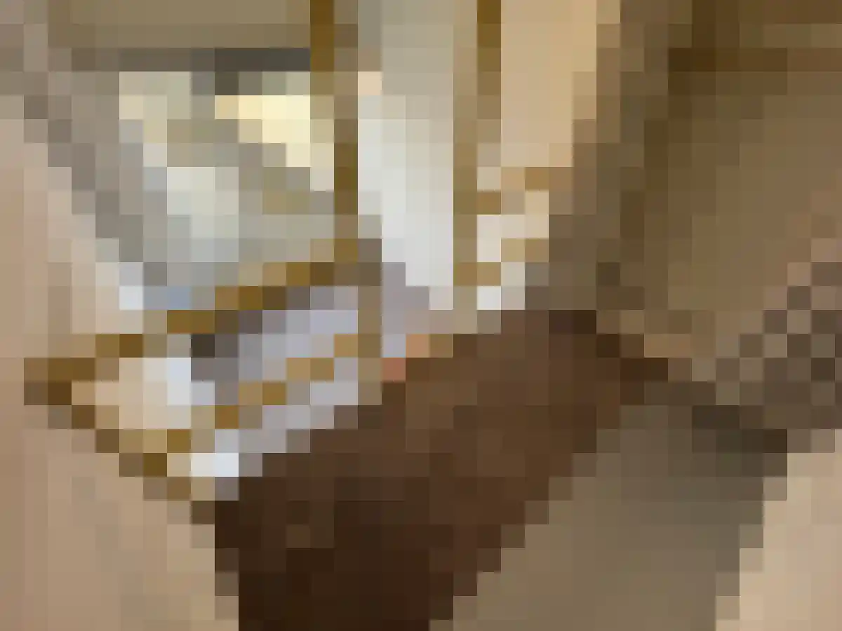 Sint Antoniuslaan 11 7 Maastricht thumbnail 4