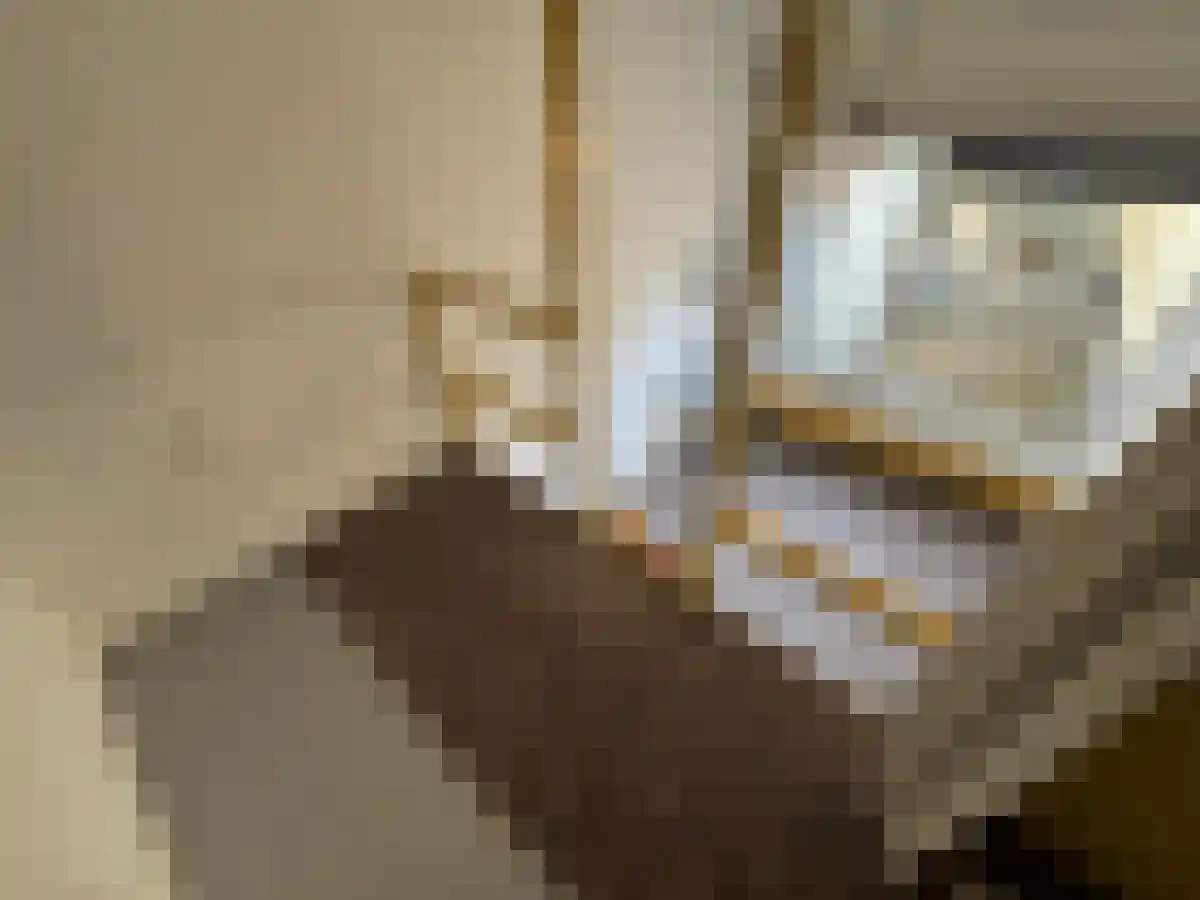 Sint Antoniuslaan 11 7 Maastricht thumbnail 5