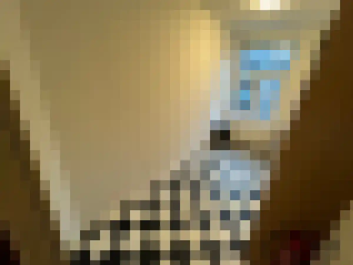 Sint Antoniuslaan 11 7 Maastricht thumbnail 6