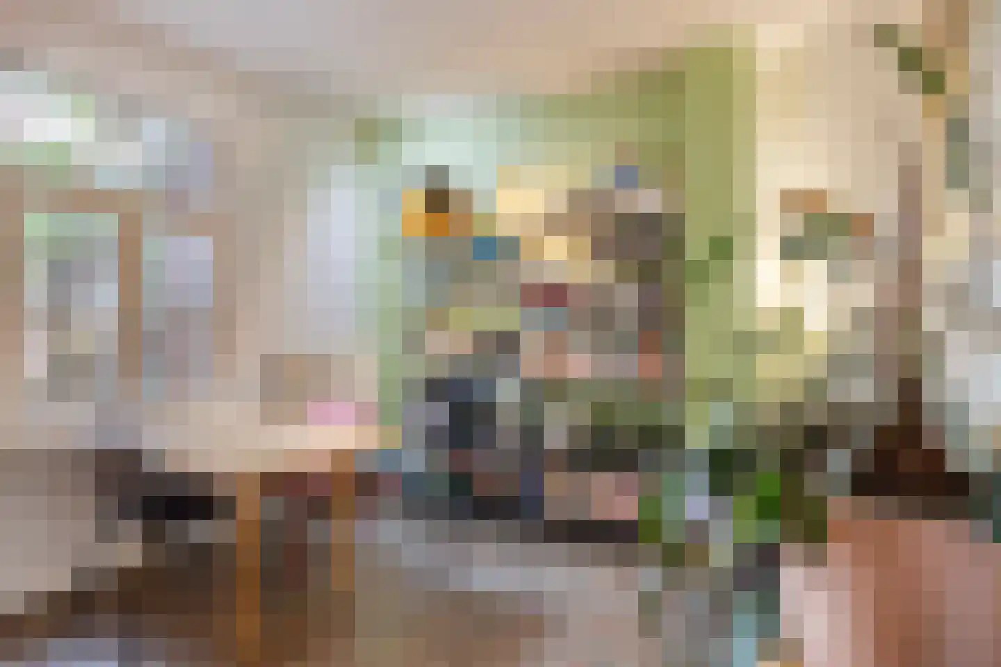 Sint Antoniuslaan 35 Maastricht thumbnail 13