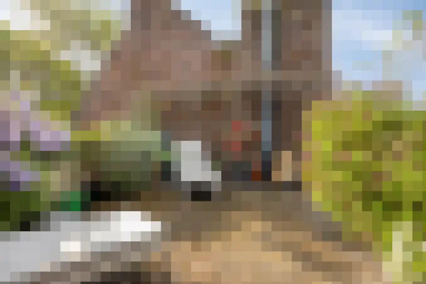 Sint Antoniuslaan 35 Maastricht thumbnail 16