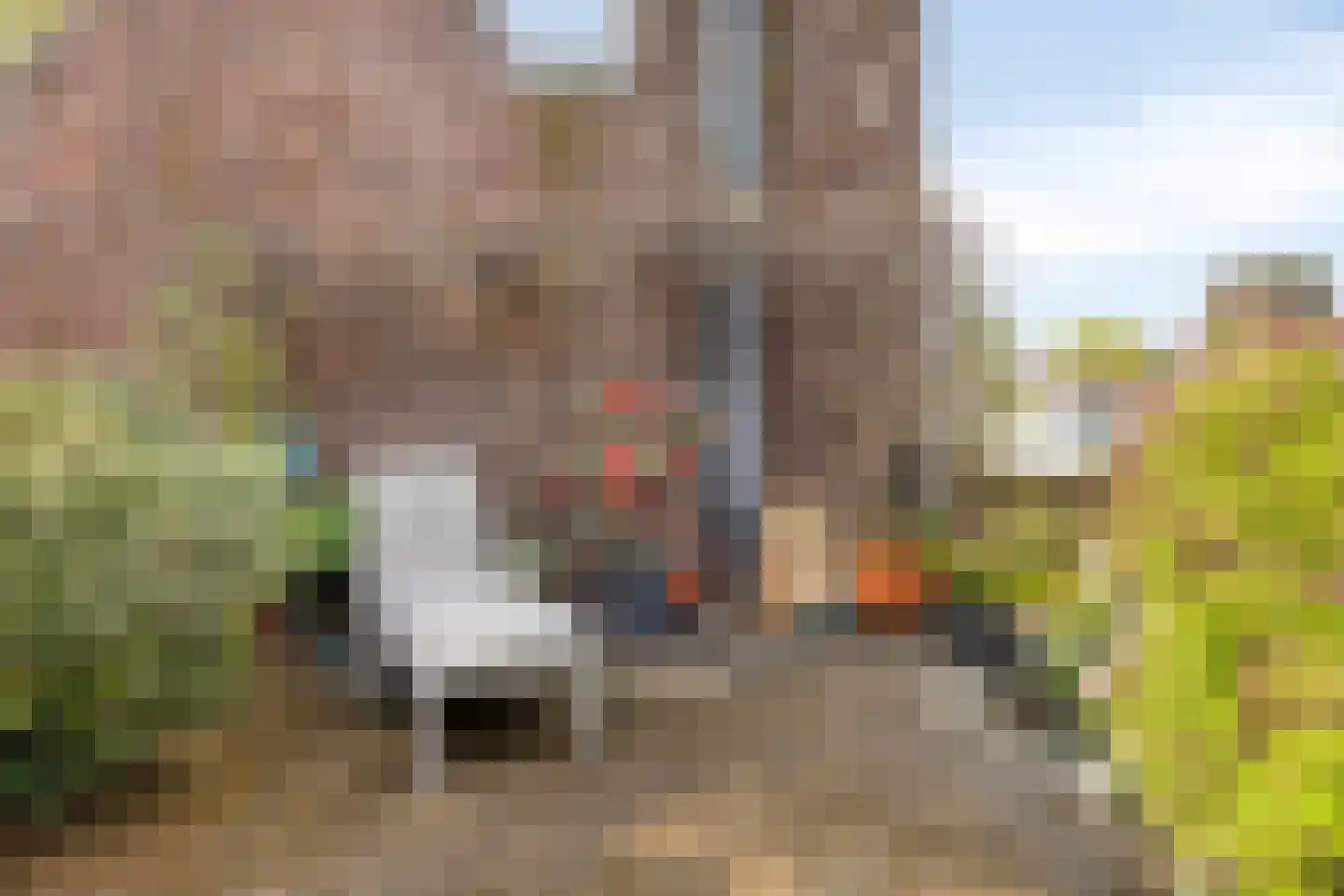 Sint Antoniuslaan 35 Maastricht thumbnail 17