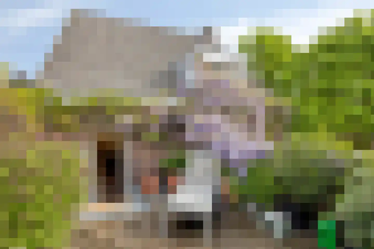 Sint Antoniuslaan 35 Maastricht thumbnail 18