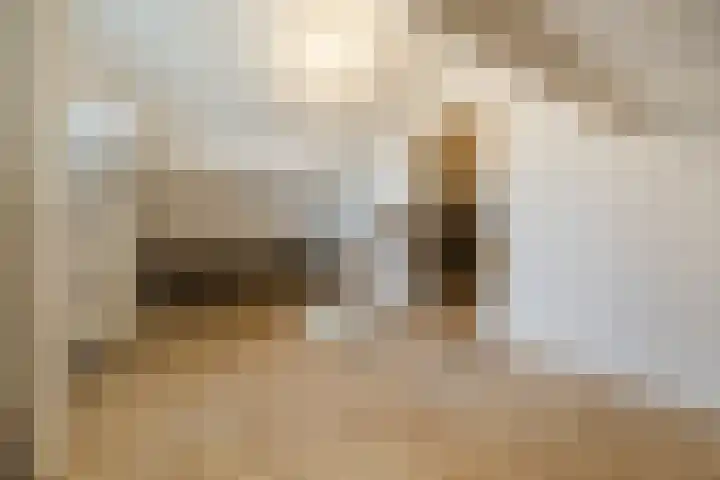 Sint Antoniusstraat 11 Oosterhout thumbnail 27