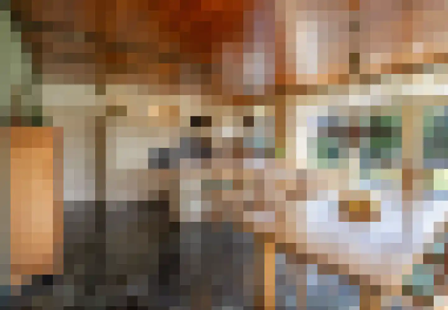 Sint Antoniusstraat 14 Bergen L thumbnail 17