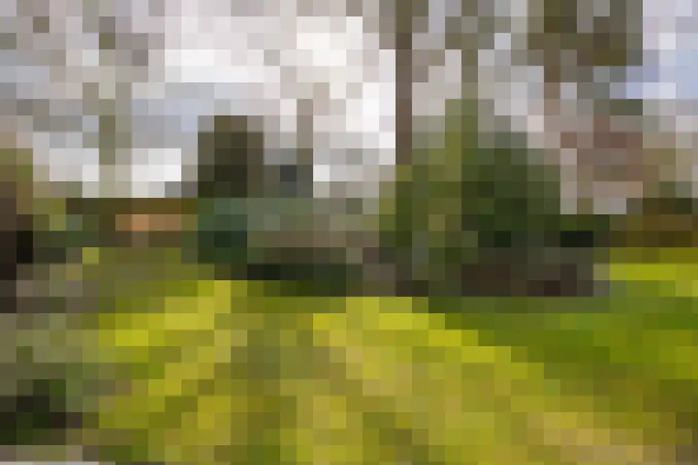 Sint Antoniusstraat 14 Bergen L thumbnail 39