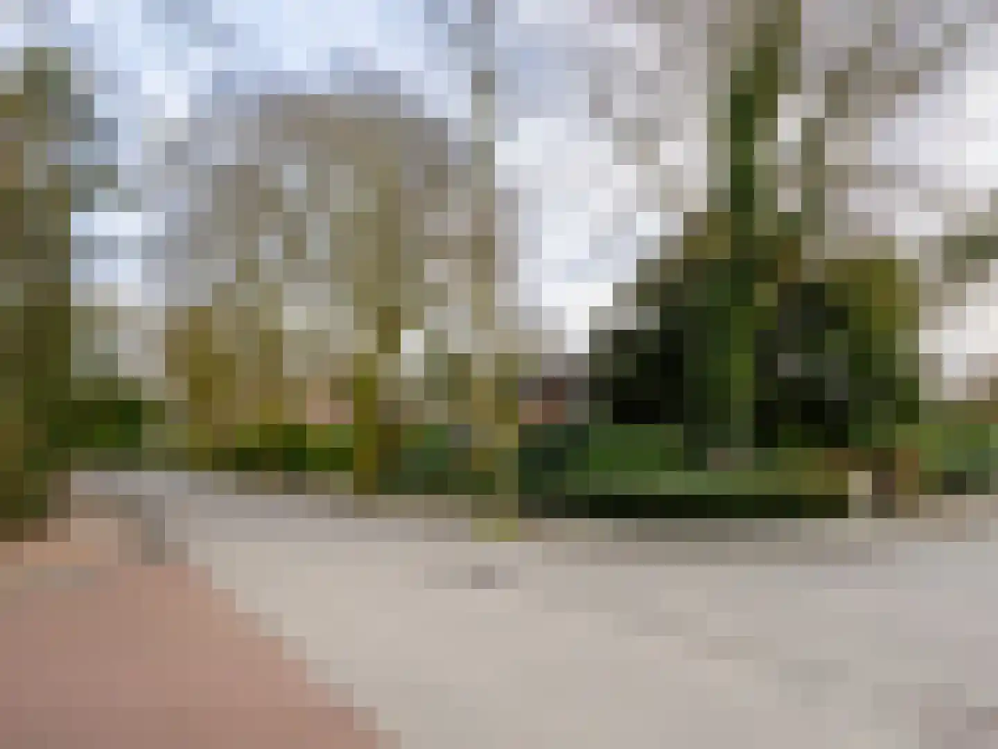 Sint Antoniusstraat 14 Bergen L thumbnail 59