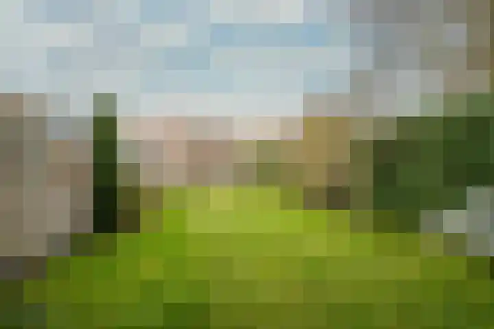 Sint Antoniusstraat 16 Beesel thumbnail 20
