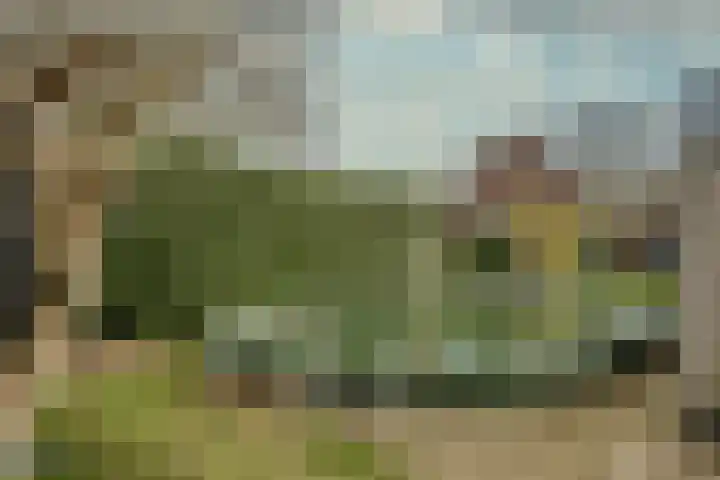 Sint Antoniusstraat 16 Beesel thumbnail 34