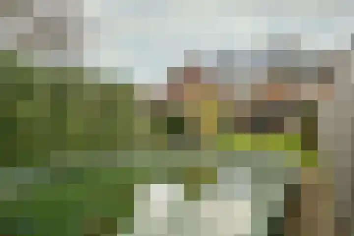 Sint Antoniusstraat 16 Beesel thumbnail 35