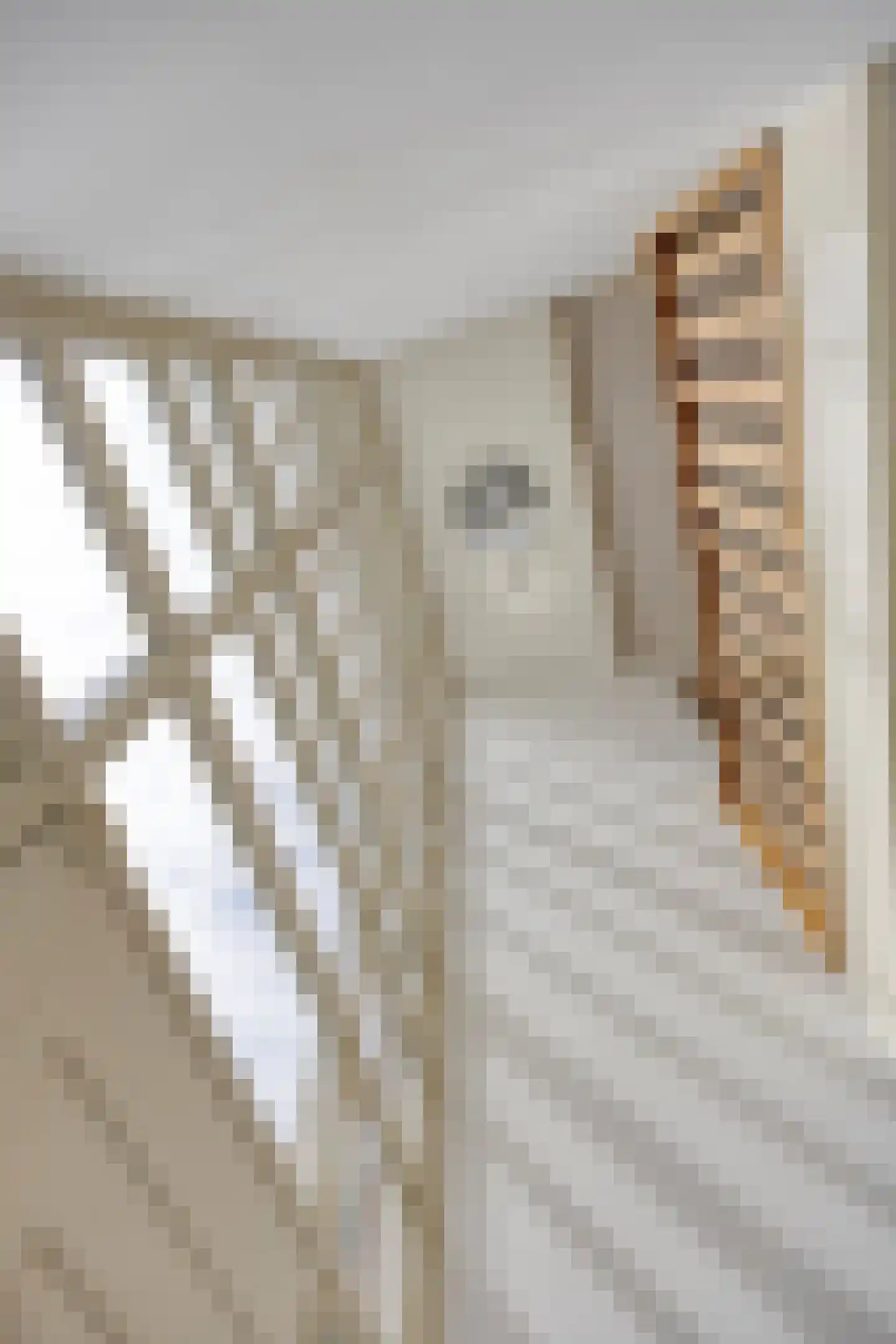Sint Antoniusstraat 19 a Velddriel thumbnail 35