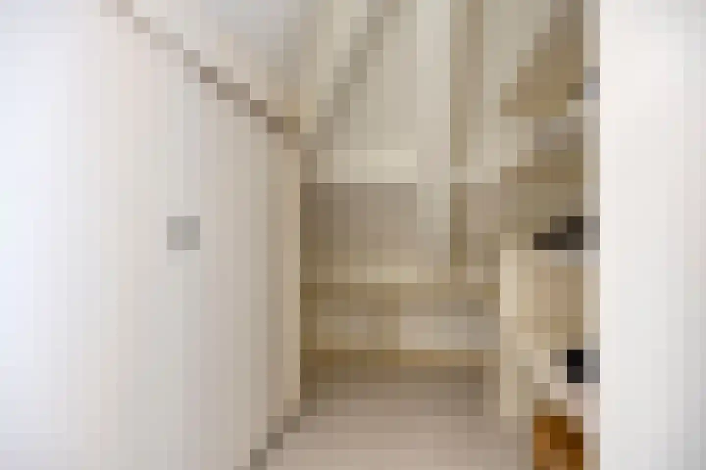 Sint Antoniusstraat 19 a Velddriel thumbnail 69