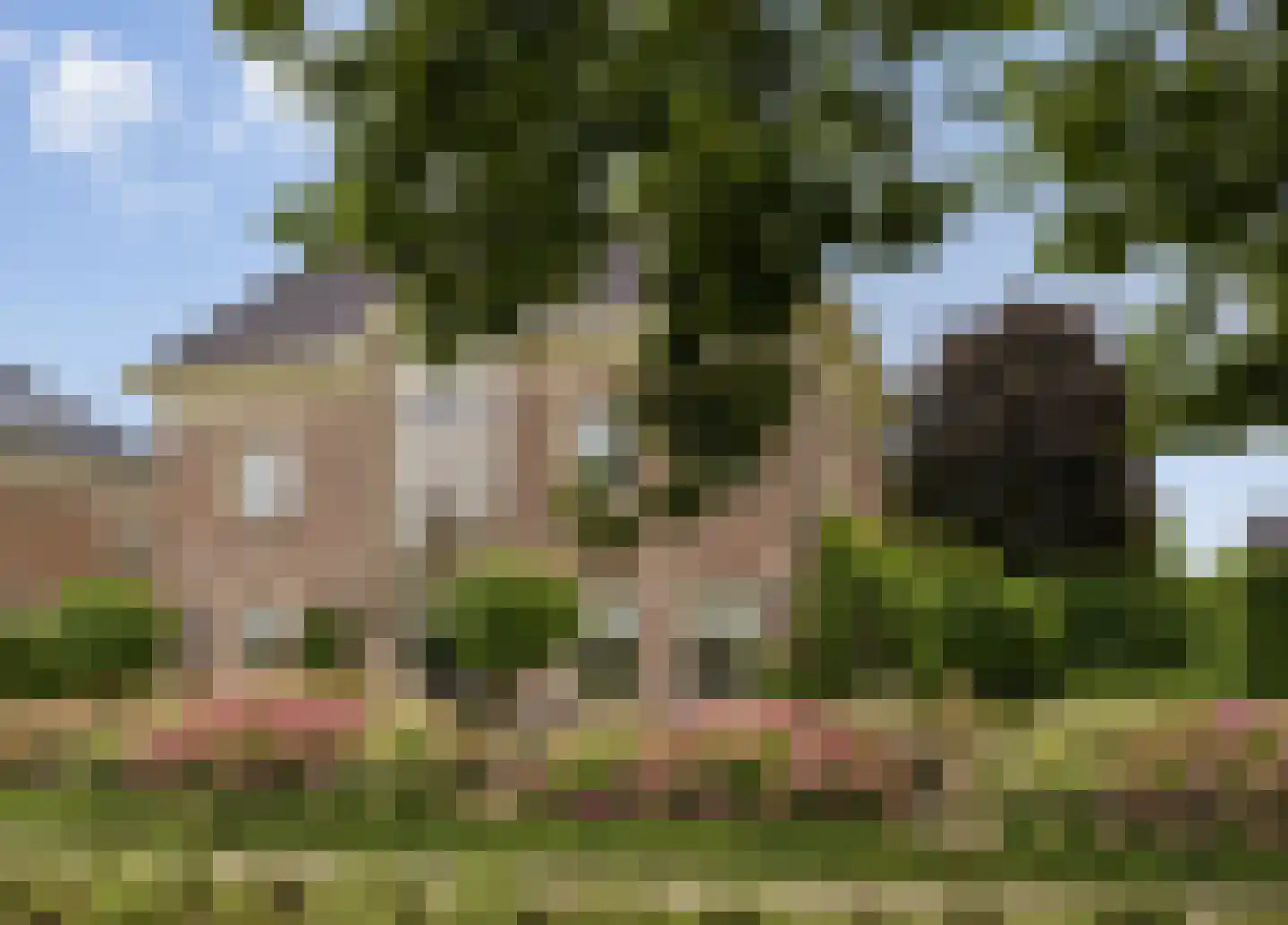Sint Antoniusstraat 19 a Velddriel thumbnail 94