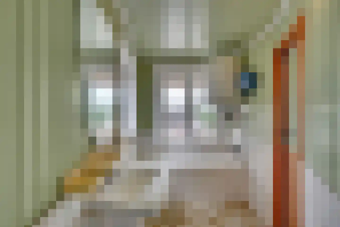 Sint Antoniusstraat 2 A Noordwijkerhout thumbnail 17