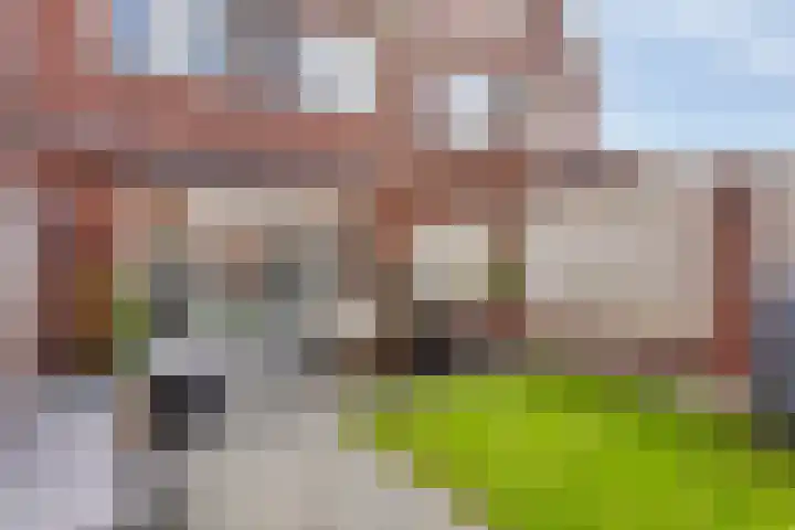 Sint Antoniusstraat 22 Velddriel thumbnail 27