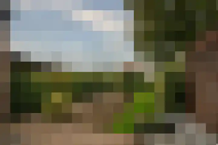 Sint Antoniusstraat 26 Beesel thumbnail 20