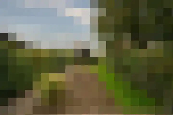 Sint Antoniusstraat 26 Beesel thumbnail 21