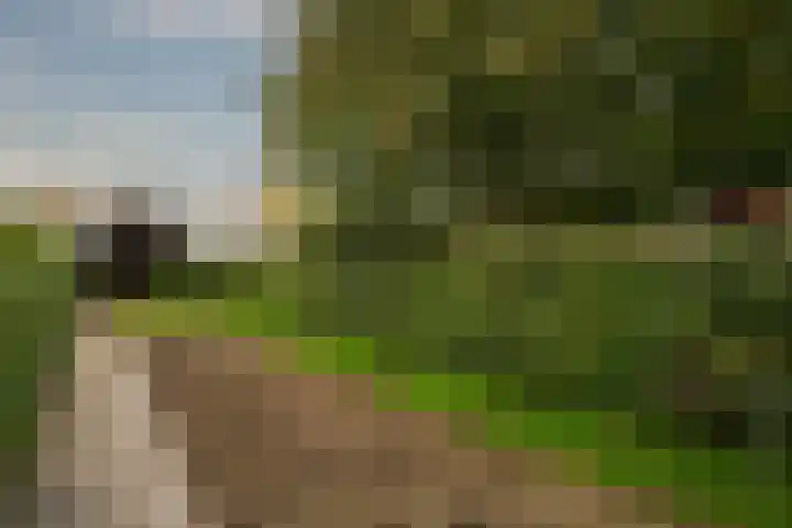 Sint Antoniusstraat 26 Beesel thumbnail 22