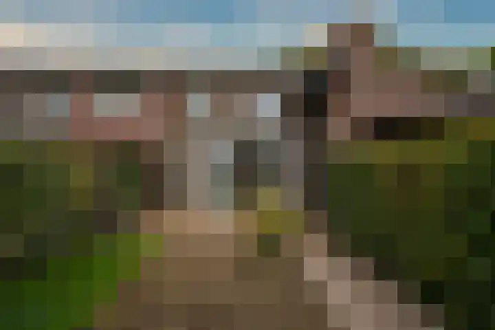 Sint Antoniusstraat 26 Beesel thumbnail 23